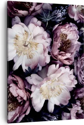 Produktbild von Bild auf Leinwand - Leinwandbild - Einteilig - Pfingstrosen Veilchen Blumen - 50x70cm - Wand Bild - Wanddeko - Wandbilder - Leinwanddruck - Wanddekoration - Leinwand bilder - Wandbild - PA50x70-5076