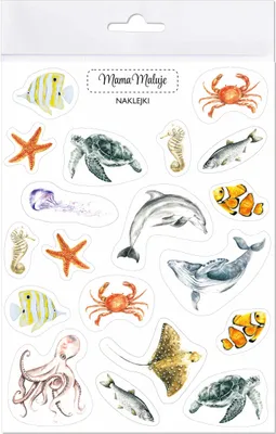 Produktbild von Naklejki Zwierzęta mórz i oceanów realistyczne ilustracje