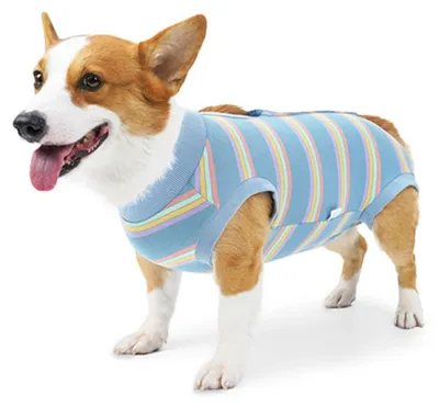 Produktbild von 1 Stück Hundebekleidung für große und mittelgroße Hunde. Postoperative Genesungsbekleidung nach der Sterilisation.