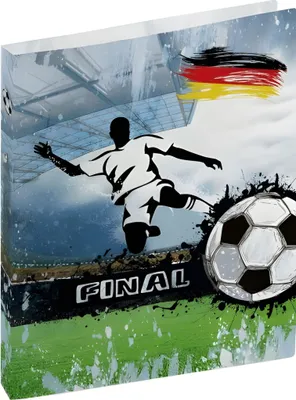 Produktbild von BRUNNEN Ringbuch A4 2-Ringe 16mm Fußball 106551648