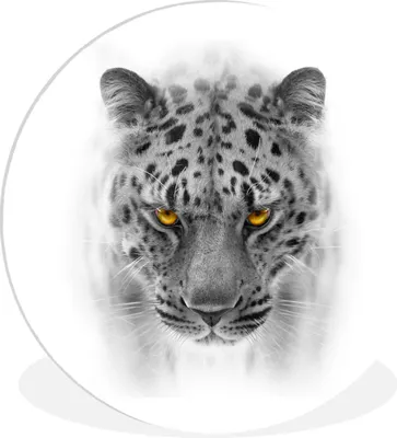 Produktbild von MuchoWow® Rundes Wandbild - Runde Bilder Leopard - Schwarz - Weiß - Tiere Ø 30 cm Kreis Wanddekoration Kunststoff - Wandkreis - Wandschmuck - Schlafzimmer - Bilder - Der Kreis - Kunst für die Wohnung - Plastik - Kunstdruck - Wandbild
