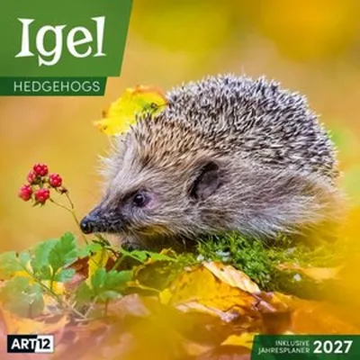 Produktbild von Igel Kalender 2027 - 30x30 - Art12