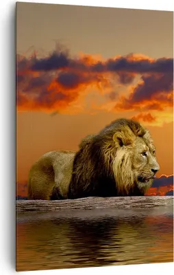 Produktbild von Bild auf Leinwand - Leinwandbild - Einteilig - Löwe Sonne Landschaft - 80x120cm - Wand Bild - Wanddeko - Wandbilder - Leinwanddruck - Wanddekoration - Leinwand bilder - Wandbild - PA80x120-0230