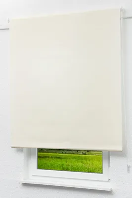 Produktbild von Lysel Outlet - Basisrollo Tageslicht Hellelfenbein, (B x H) 62.50cm x 190cm in beige/hellelfenbein