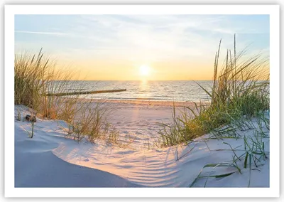Produktbild von Poster - Poster ohne Rahmen - Düne Strand Meer - 100x70 cm - Wand Bild - Wanddeko - Wandbilder - Kunstposter - Wandposter - Bilder - Kunstdruck - Wanddekoration - Wandbild - P2XAA100x70-3989