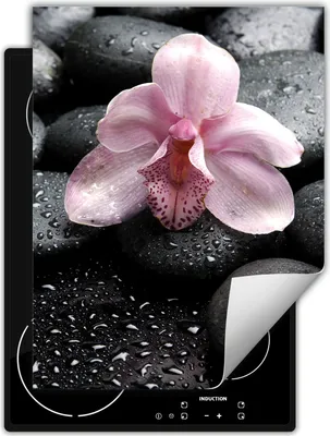 Produktbild von DarHaus Herdabdeckplatte Einteilig Küche Abdeckplatte für Glaskeramikkochfeld Abdeckung Induktionskochfeld Aufrollbare Matte 40x52 cm, schwarz - Tropfen - Blume