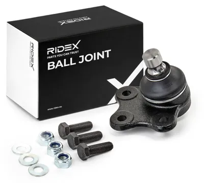 Produktbild von RIDEX Traggelenk Vorne für FORD Fiesta Mk5 Schrägheck (JH1, JD1, JH3, JD3) 2462S0259