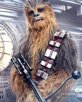 Image de Star Wars - Chewbacca - 40x50cm - Affiche Poster