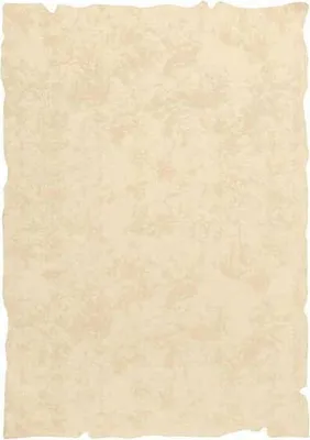 Produktbild von Liderpapel PW21, Laser-/Inkjet-Druck, A4 (210x297 mm), 50 Blätter, 180 g/m²