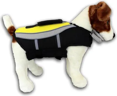 Immagine prodotto di Alcott Mariner giubbotto di salvataggio per cani giallo, taglia:L