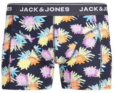 Image de Boxer Jack&Jones JACLOUIS TRUNK SN pour Homme