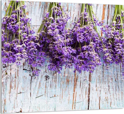 Immagine prodotto di PIASTRELLE IN VETRO PER CUCINA 65x60 Lavanda