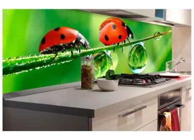 Produktbild von Küchenrückwand Folie selbstklebend MARIENKÄFER 180 x 60 cm - Klebefolie - Dekofolie - Spritzschutz für Küche -