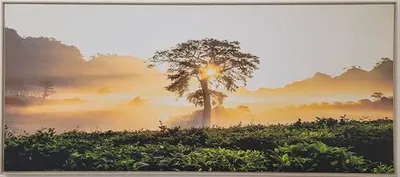 Obrázek produktu pro Obraz SHADOW 59x134cm Strom