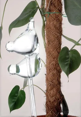 Produktbild von PROGARDEN Glaskugeln BEWÄSSERUNGSKUGELN Wasserspender für Blumentöpfe Zimmerpflanzen VÖGEL 2 Stück