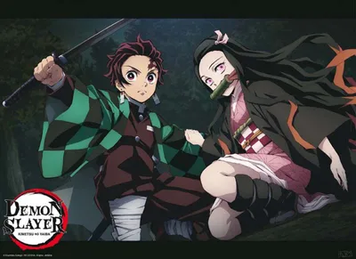 Produktbild von Demon Slayer - Poster Maxi 52 x 38 cm - Tanjiro und Nezuko Kampfstellung