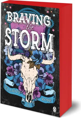 Produktbild von Braving The Storm