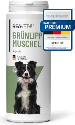Produktbild von Grünlippmuschel Kapseln 300Stk