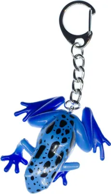 Produktbild von Frosch Schlüsselanhänger Blauer Baumsteiger Miniblings Anhänger Giftfrosch Blau