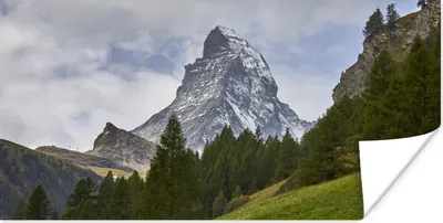 Produktbild von MuchoWow® Poster Das Schweizer Matterhorn hinter einem Tannenwald 150x75 cm - ohne Rahmen