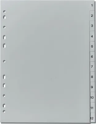 Produktbild von Herlitz Ordner Register / 1-12 / PP / DIN A4 / 12tlg.