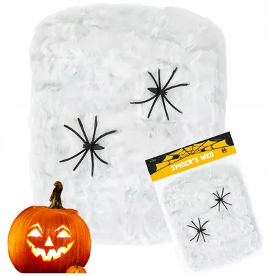 Produktbild von PartyPal Halloween Spinnennetz Dekoration 2 Spinnen Weiß
