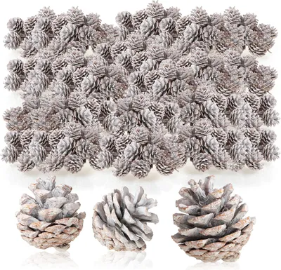 Produktbild von COM-FOUR® 480x Tannenzapfen in weiß - Pinienzapfen als Weihnachtsdekoration