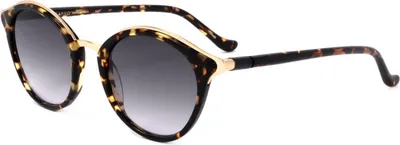 Produktbild von Safilo Sonnenbrille CIGLIA 02/S WR9 47 20 140