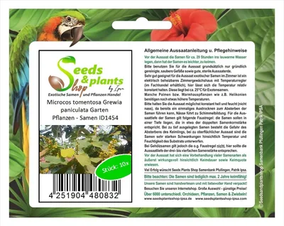 Produktbild von 10x Microcos tomentosa Grewia paniculata Garten Pflanzen - Samen ID1454