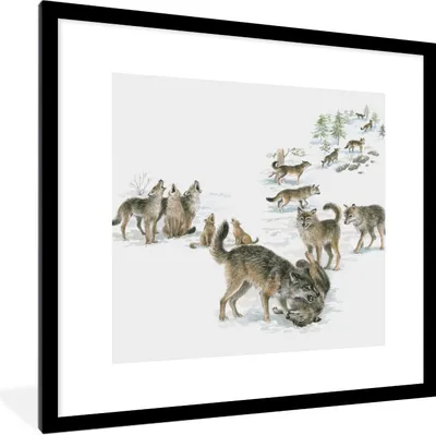 Produktbild von MuchoWow® Gerahmtes Poster Wölfe - Schnee - Winter 40x40 cm - Poster mit Schwarzem Bilderrahmen Wandposter Rahmen Foto Bilder - Poster - Plakat im Rahmen