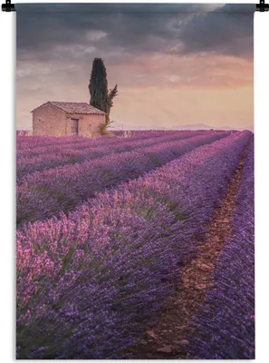 Produktbild von MuchoWow® Wandteppich Wandbehang Lavendel - Blumen - Lila - Feld 60x90 cm Tapisserie Dekoration Wandtuch - Foto-Teppich - Abwaschbar