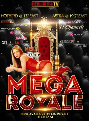Zdjęcie produktu dla Karta REDLIGHT MEGA Elite ROYALE 13 Viaccess - 12 miesięcy