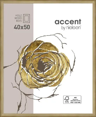 Obrázek produktu pro Nielsen Ascot dřevěný rám 40x50 cm zlatý