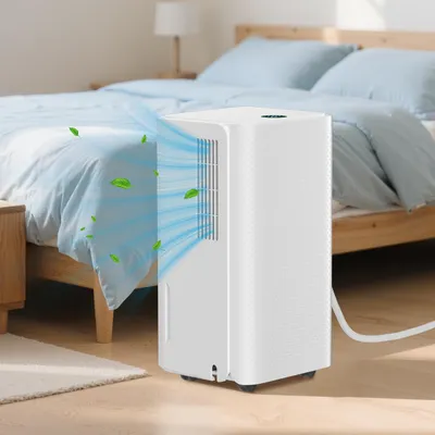 Immagine prodotto di Jayseuw deumidificatore elettrico 16L/24h, deumidificatore per ambienti con display LED, timer - contro l'umidità, asciugatura del bucato, sbrinamento, spegnimento automatico, tubo di scarico, dimensioni ambiente circa 25 m²