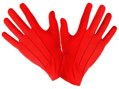 Zdjęcie produktu dla Widmann 1461R
