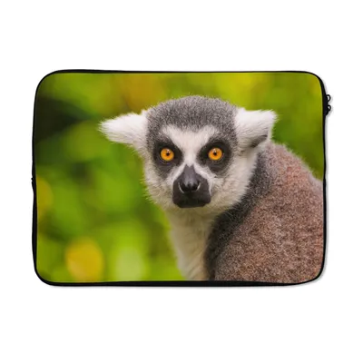 Produktbild von MuchoWow® Laptop Hülle 14 ZollAffe - Ringschwanzlemur - Tier Laptoptasche - Laptoptasche - Stoßsicher - Schutzhaube