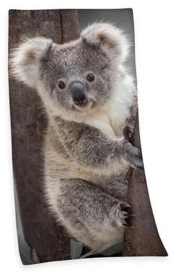 Produktbild von Velourstuch Duschtuch Badetuch Strandtuch mit Koala 75 x 150cm
