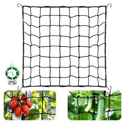 Produktbild von Ranknetz für Kletterpflanzen, 130x130cm mit 4 Haken, elastisches Pflanzennetz für Garten und Gewächshaus