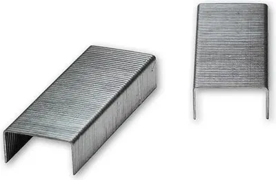 Image de Agrafes pour Regur 31/31/4 longueur de branche 10 mm