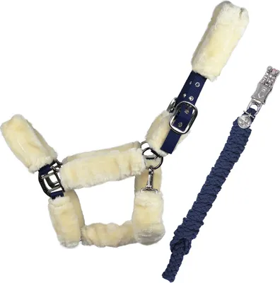 Produktbild von EQuest Halfter Comfort für Pferde mit Führstrick, navy - L / Full / Warmblut