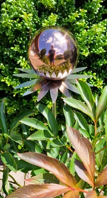 Produktbild von Blütenzauber Milano Rosenkugel 10 cm Edelstahl golden rose poliert  Gartenstecker Deko mit Stab 80 cm