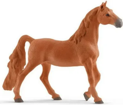 Immagine prodotto di Animale domestico - castrone americano da sella