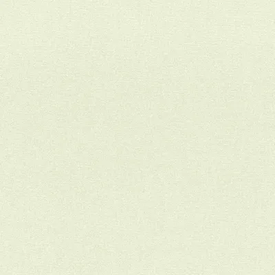 Produktbild von Rasch Vliestapete Color Your Life 633351 Uni Einfarbig Tapete 10.05 x 0.53 m Beige Wohnen Schlafen Küche Flur Eingangsbereich