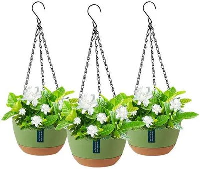 Immagine prodotto di Set da 3 vasi da fiori in plastica, ganci metallici, piante rampicanti rimovibili, piante da interno ed esterno, giardino, decorazione da parete