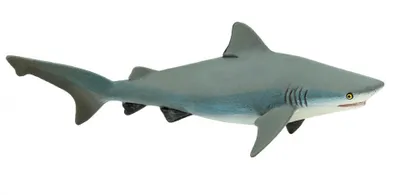 Immagine prodotto di squalo toro junior 15 cm in gomma bianco/grigio