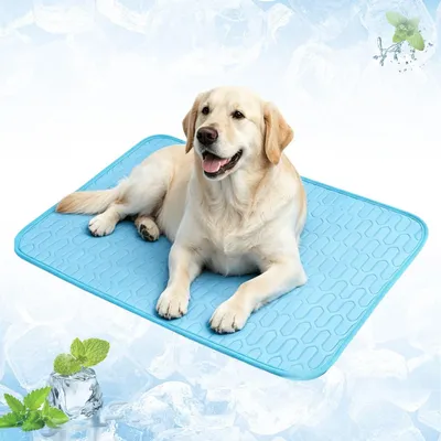 Image de Tapis rafraîchissant pour chiens et chats - Bleu, taille L