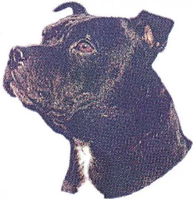 Produktbild von PVC-Aufkleber - Labrador - Gr. ca. 9 x 10 cm - 307076