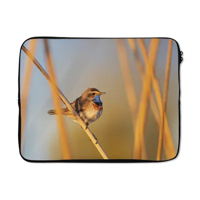 Produktbild von MuchoWow® Laptop Hülle 15 Zoll Vögel - Blaukehlchen - Schilf Laptoptasche - Laptoptasche - Sleeve - Rundum-Schutz