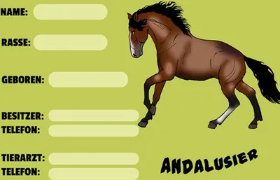 Produktbild von vianmo Holzschild 30x40 cm Pferd Andalusier Name Besitzer Rasse