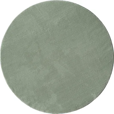 A circular, light green rug is shown from a top-down perspective against a white background.